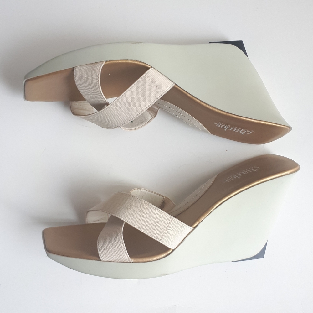 🎈HOST PICK🎈Charles by Charles David | NWOT Wedge Platform Sandals